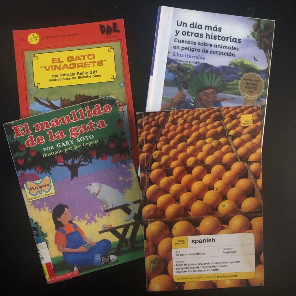 Bundle of Books - -   SPANISH LANGUAGE